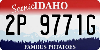 ID license plate 2P9771G