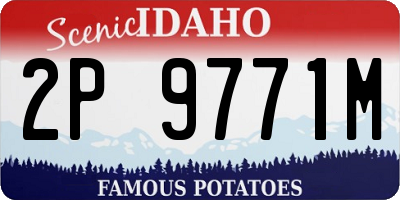 ID license plate 2P9771M
