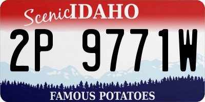 ID license plate 2P9771W