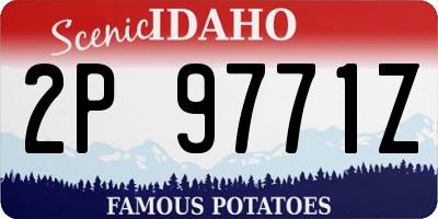 ID license plate 2P9771Z