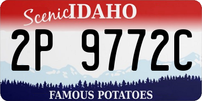 ID license plate 2P9772C
