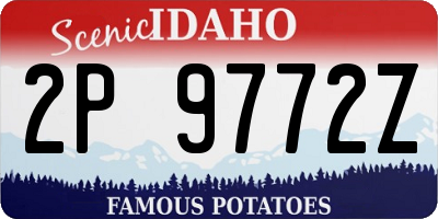 ID license plate 2P9772Z