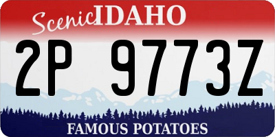 ID license plate 2P9773Z