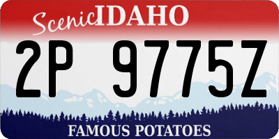 ID license plate 2P9775Z