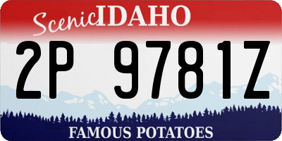 ID license plate 2P9781Z