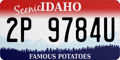 ID license plate 2P9784U