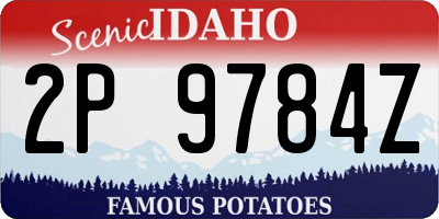 ID license plate 2P9784Z
