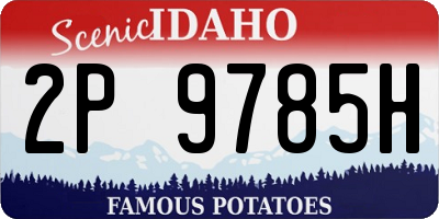 ID license plate 2P9785H
