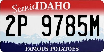 ID license plate 2P9785M