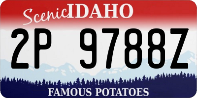 ID license plate 2P9788Z