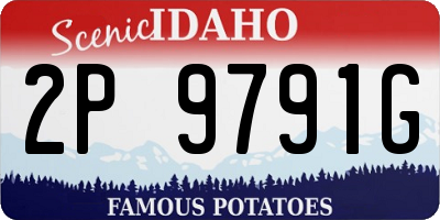 ID license plate 2P9791G