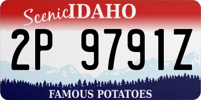 ID license plate 2P9791Z
