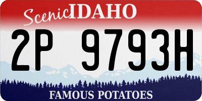 ID license plate 2P9793H