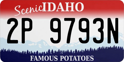 ID license plate 2P9793N