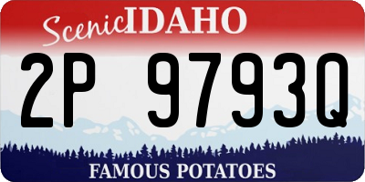 ID license plate 2P9793Q