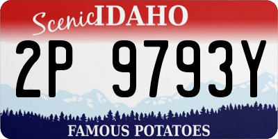 ID license plate 2P9793Y