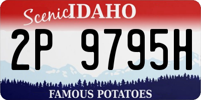 ID license plate 2P9795H