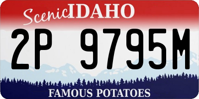 ID license plate 2P9795M