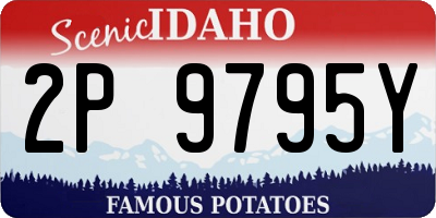 ID license plate 2P9795Y
