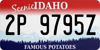 ID license plate 2P9795Z