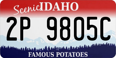 ID license plate 2P9805C