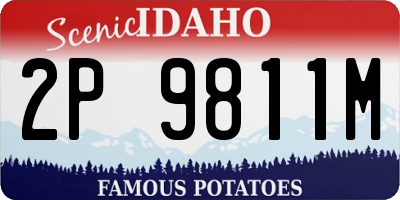 ID license plate 2P9811M