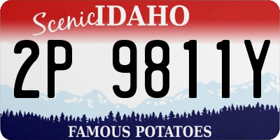ID license plate 2P9811Y