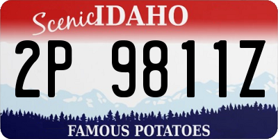 ID license plate 2P9811Z