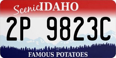 ID license plate 2P9823C