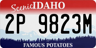 ID license plate 2P9823M
