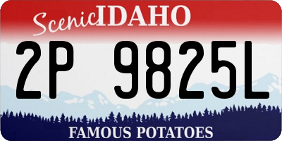 ID license plate 2P9825L
