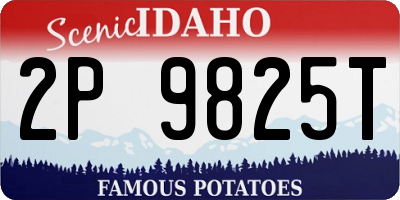 ID license plate 2P9825T