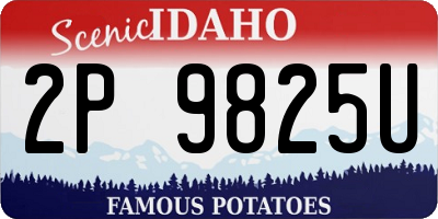 ID license plate 2P9825U