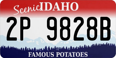 ID license plate 2P9828B