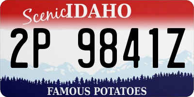 ID license plate 2P9841Z