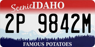 ID license plate 2P9842M