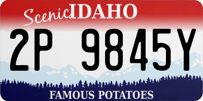 ID license plate 2P9845Y