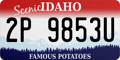 ID license plate 2P9853U
