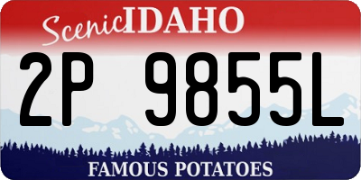 ID license plate 2P9855L