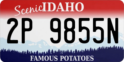 ID license plate 2P9855N