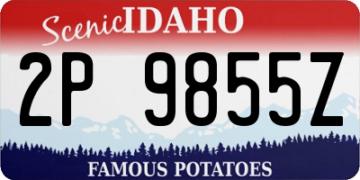 ID license plate 2P9855Z