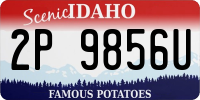 ID license plate 2P9856U