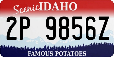 ID license plate 2P9856Z
