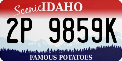 ID license plate 2P9859K