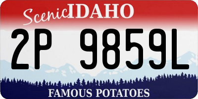 ID license plate 2P9859L