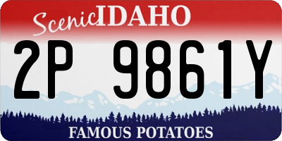 ID license plate 2P9861Y