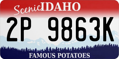 ID license plate 2P9863K