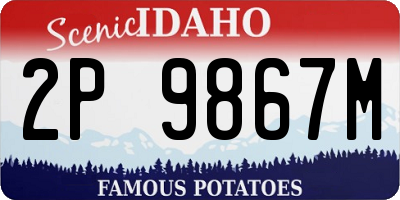 ID license plate 2P9867M