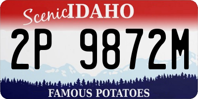 ID license plate 2P9872M