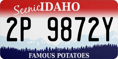 ID license plate 2P9872Y